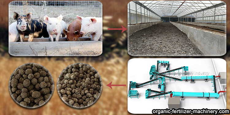 pig manure organic fertilizer manufacturing process
