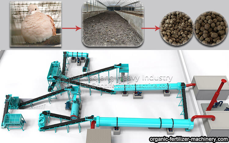 Pigeon manure organic fertilizer manufacturing process