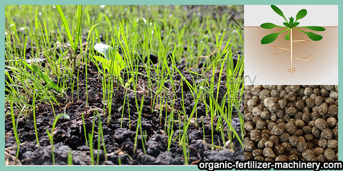 common fertilizer application