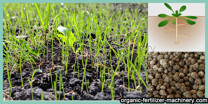 Factors affecting the plant absorption of fertilizer