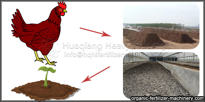 chicken manure processed by equipment on soil