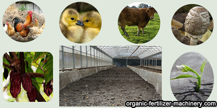 cocoa organic fertilizer fermentation