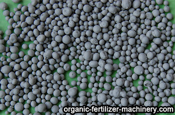 bio organic fertilizer granles