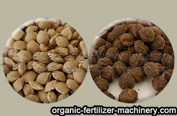 granules of double roller press granulator