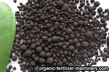 humic acid organic fertilizer