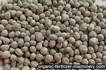 organic fertilizer