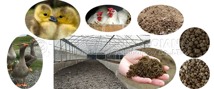 Poultry farming manure and organic fertilizer production