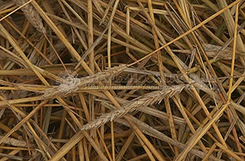 straw crusher