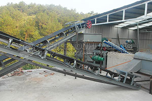 Malysia Organic Fertilizer Production Line Installation Site