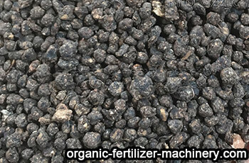Organic fertilizer granule